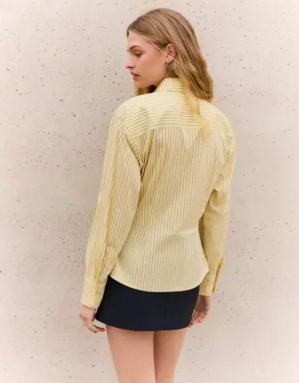 Chemise ajustée avec pinces